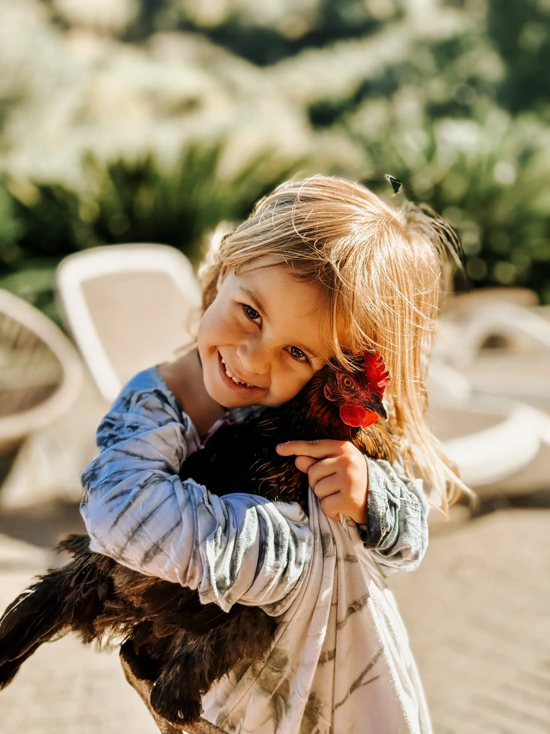 A young girl with blonde hair hugging a black and red rooster outdoors on a sunny day.